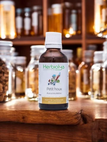 Petit Houx Bio  Extrait de Plante Fraîche  Jambes Lourdes et Circulation