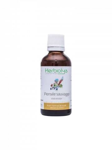 Pensée Sauvage Bio  Extrait de Plante Fraîche  Peau et Détox Cutanée