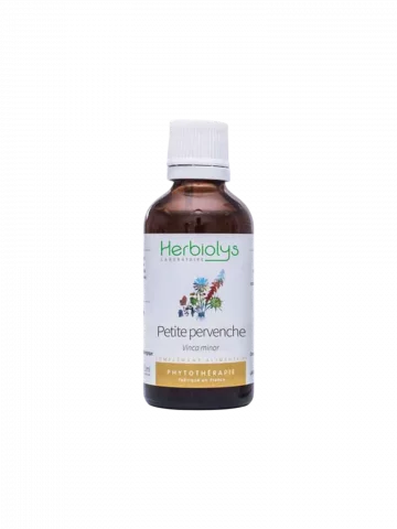 Petite Pervenche Bio  Extrait de Plante Fraîche  Circulation et Cerveau