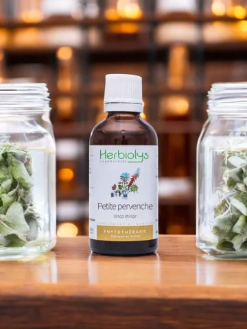 Petite Pervenche Bio  Extrait de Plante Fraîche  Circulation et Cerveau