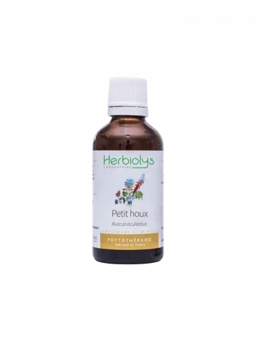 Petit Houx Bio  Extrait de Plante Fraîche  Jambes Lourdes et Circulation