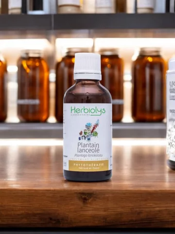 Plantain Lancéolé Bio  Extrait de Plante Fraîche  Muqueuses et Voies Respiratoires