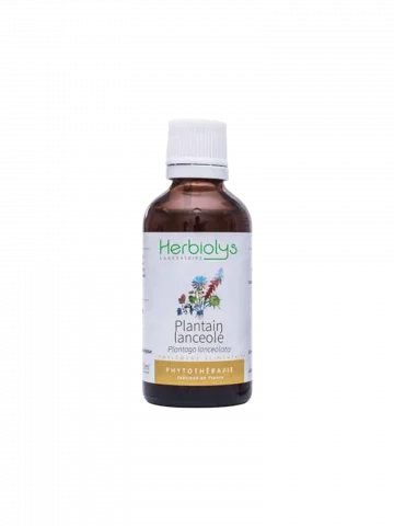 Plantain Lancéolé Bio  Extrait de Plante Fraîche  Muqueuses et Voies Respiratoires