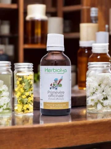 Primevère Officinale Bio  Extrait de Plante Fraîche  Toux et Détente