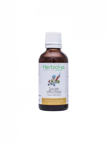 Sauge Officinale Bio  Extrait de Plante Fraîche  Cycle Féminin et Digestion