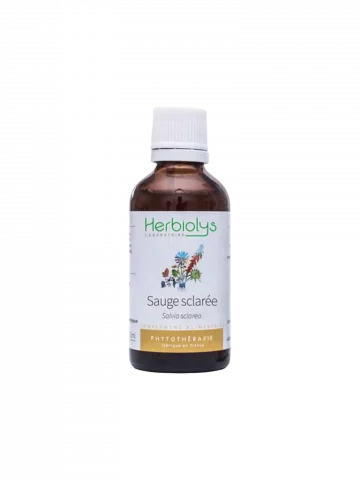 Sauge Sclarée Bio  Extrait de Plante Fraîche  Équilibre Hormonal et Cycle Féminin