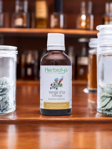 Solidage Bio  Extrait de Plante Fraîche  Voies Urinaires et Détox Rénale