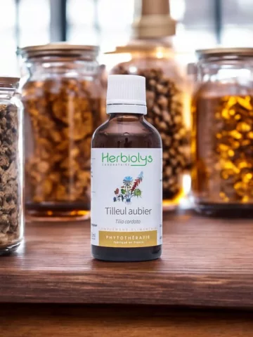 Tilleul Aubier Bio  Extrait de Plante Fraîche  Détox Foie et Drainage Doux