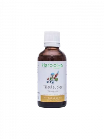 Tilleul Aubier Bio  Extrait de Plante Fraîche  Détox Foie et Drainage Doux