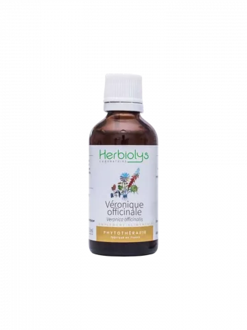 Véronique Officinale Bio  Extrait de Plante Fraîche  Détox et Confort Digestif