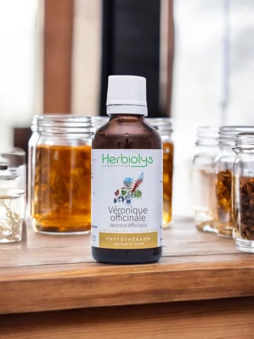 Véronique Officinale Bio  Extrait de Plante Fraîche  Détox et Confort Digestif