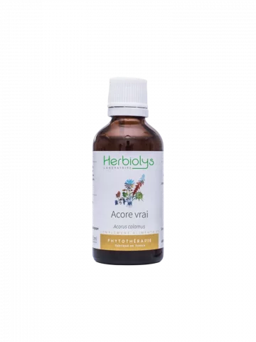 Acore Vrai Bio  Extrait de Plante Fraîche  Soutien Digestif et Tonique