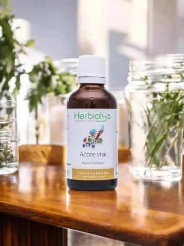 Acore Vrai Bio  Extrait de Plante Fraîche  Soutien Digestif et Tonique