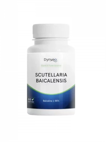 Scutellaria baicalensis pure  85% baicaline  Équilibre immunitaire  Dynveo