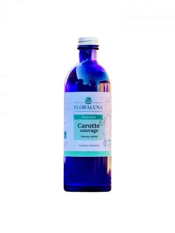 Hydrolat Carotte sauvage Bio 200mL  éclat du teint & drainage doux