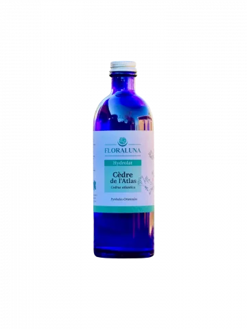 Hydrolat Cèdre de lAtlas Bio 200mL  méditation & drainage capillaire