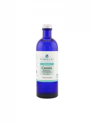 Hydrolat Cassis Bio 200mL  tonique saisonnier & esprit clair