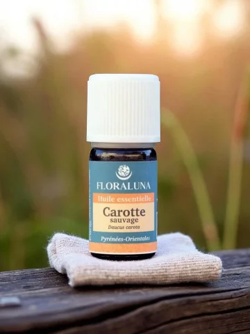 Huile essentielle Carotte sauvage Bio 2mL  drainage hépatique & régénération cutanée