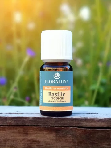 Huile essentielle Basilic Tropical Bio 10mL  digestion & apaisement nerveux