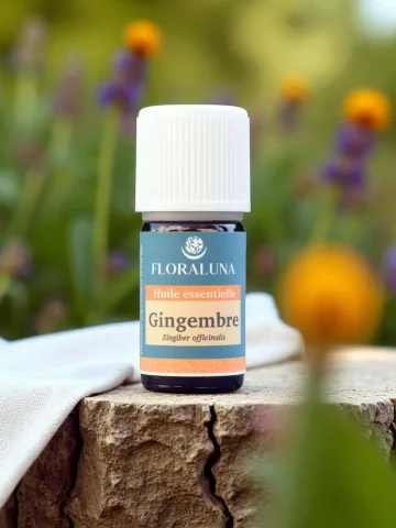 Huile essentielle Gingembre Bio 5mL  digestion & énergie physique