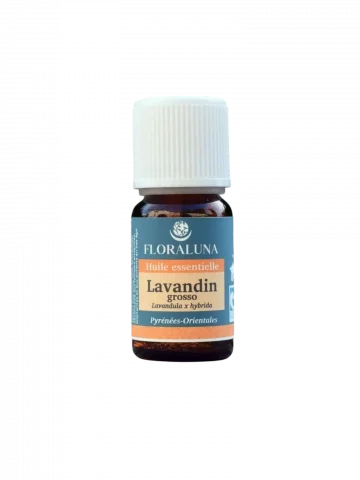 Huile essentielle Lavandin grosso Bio 10mL  détente musculaire & assainissante
