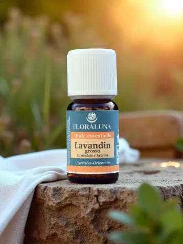 Huile essentielle Lavandin grosso Bio 10mL  détente musculaire & assainissante