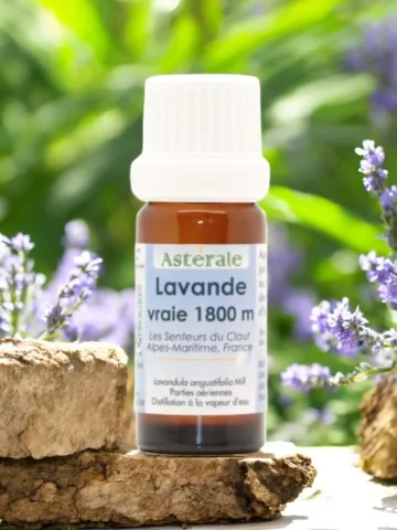 Huile essentielle Lavande vraie 1800m Astérale 5 ou 10ml  Lavandula angustifolia, apaisante & cicatrisante, bio
