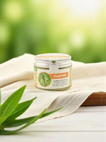 Baume au Plantain bio  Apaisant piqûres et irritations  Fabrication artisanale Limousin