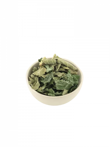 Figuier feuilles Bio  plante circulatoire antidiabétique légère 50g