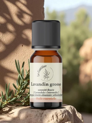 Huile essentielle Lavandin Grosso Bio 10 ml