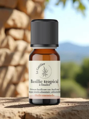 Huile essentielle de basilic tropical bio  chémotype linalol  5 ml