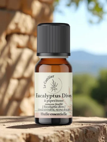 Huile essentielle eucalyptus dives bio  pipéritone  5 ml  Respiratoire et circulatoire
