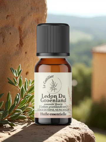 Huile essentielle Lédon du Groenland sauvage Bio Québec 2 ml