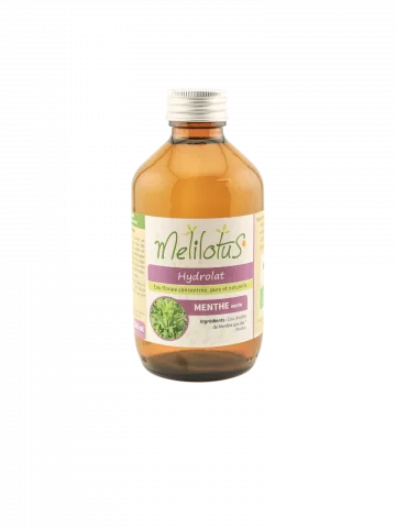 Hydrolat de menthe verte bio  Rafraîchissant & digestif  Artisanat Limousin