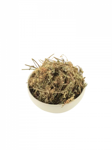 Mélilot sommités fleuries Bio  plante circulatoire et apaisante 50g