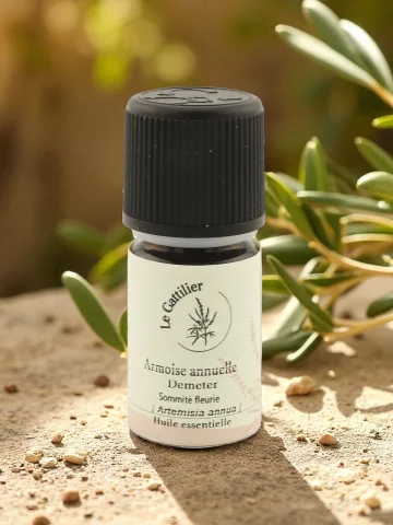 Huile essentielle darmoise annuelle bio  Origine France  5 ml