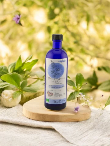 Hydrolat Basilic sacré Bio Lilizain Pays basque  Digestif, nerveux et équilibrant 200 ml