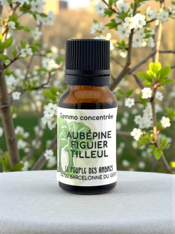 Complexe Bourgeons Aub&eacute;pine Figuier Tilleul 15ml Stress Sommeil Coeur Bio