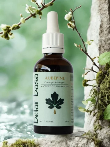 Aub&eacute;pine Crataegus monogyna � Gemmoth&eacute;rapie 1D dynamis&eacute;e Bio � C�ur & Stress