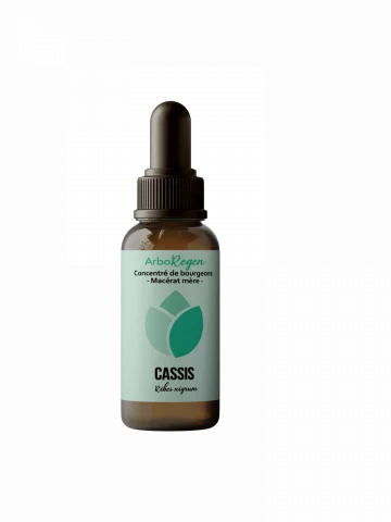 Cassis mac&eacute;rat m&egrave;re Bio articulation &eacute;nergie et d&eacute;fenses naturelles