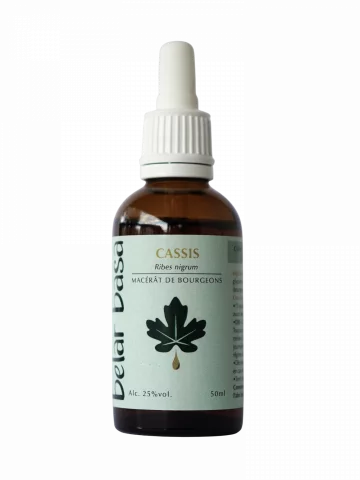 Cassis Ribes nigrum � Gemmoth&eacute;rapie 1D Bio � Inflammations & Tonus