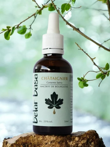 Ch&acirc;taignier Castanea sativa � Gemmoth&eacute;rapie 1D Bio � Circulation lymphatique