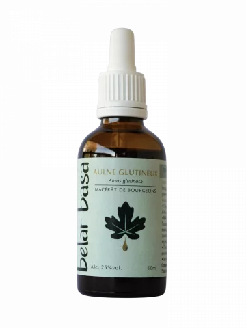 Aulne glutineux Alnus glutinosa � Gemmoth&eacute;rapie 1D Bio � Inflammation & Immunit&eacute;
