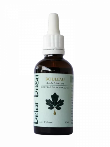 Bouleau Betula pubescens � Gemmoth&eacute;rapie 1D Bio � Drainage & Vitalit&eacute;