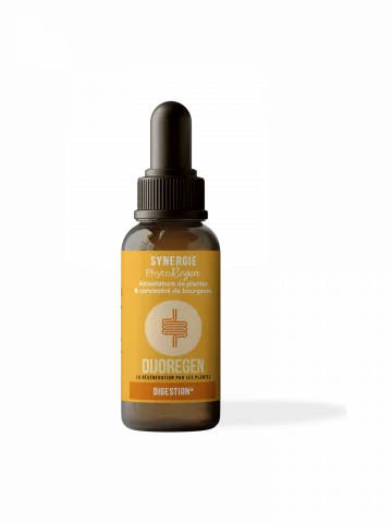 DijoRegen � Synergie Bio digestion et confort digestif