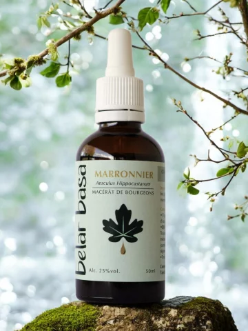Marronnier Aesculus hippocastanum � Gemmoth&eacute;rapie 1D Bio � Circulation veineuse & jambes lourdes