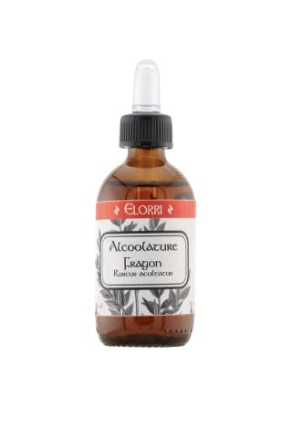 Alcoolature de Fragon bio � Ruscus aculeatus � Jambes l&eacute;g&egrave;res & circulation