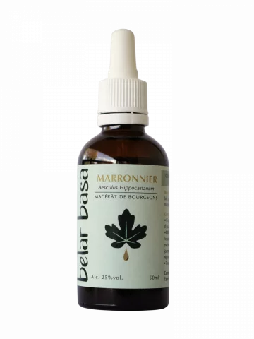 Marronnier Aesculus hippocastanum � Gemmoth&eacute;rapie 1D Bio � Circulation veineuse & jambes lourdes