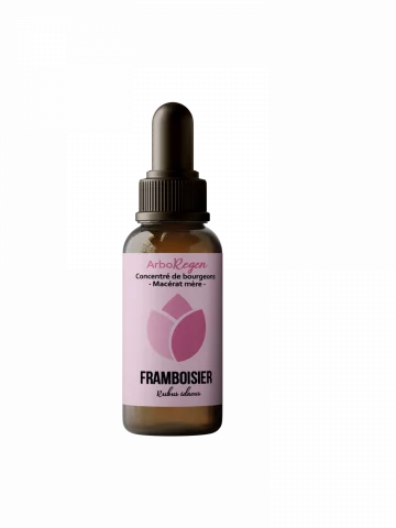 Framboisier mac&eacute;rat m&egrave;re Bio cycle f&eacute;minin confort ut&eacute;rin et &eacute;quilibre