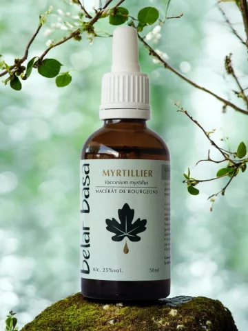 Myrtillier Vaccinium myrtillus � Gemmoth&eacute;rapie 1D Bio � Yeux & M&eacute;tabolisme